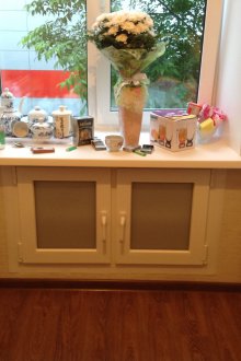 Two-door refrigerator under the window