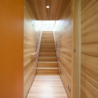 Дърво в интериора на коридора