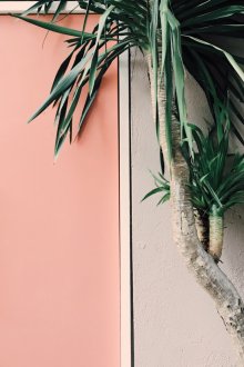 Врата с цвят на праскова