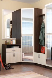 Гардероб в коридора черно-бял