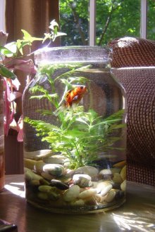 Декор за аквариум от консерва