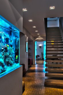 Декор за голям аквариум