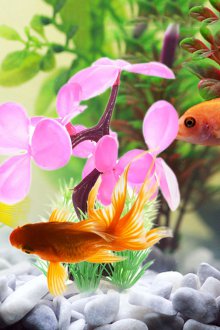 Декор за аквариумни цветя