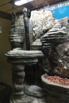 Декор за аквариум фон