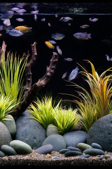 Декориран аквариум декор