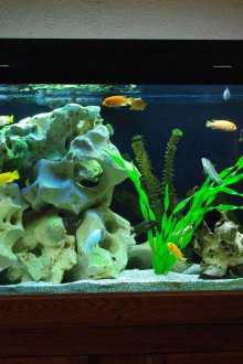 Глинен декор за аквариум