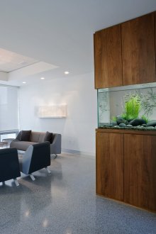 Декор за аквариума в хола