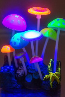 Декор за аквариумни гъби