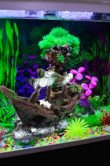 Декор за грото на аквариума под формата на кораб