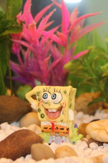 Декор за аквариум гъба