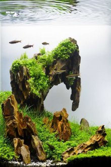 Декор за аквариум камък