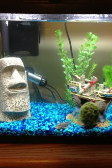 Декор за аквариум с кораб