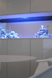 Декор за аквариум с корали