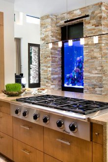 Декор за аквариум в кухнята