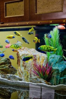 Декор от кварцов аквариум