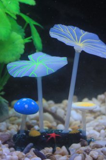 Декор за аквариум пластмаса