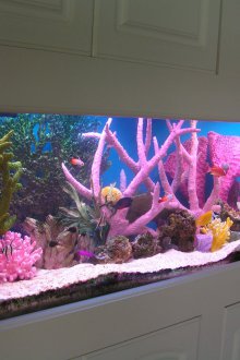 Декор за аквариум розово