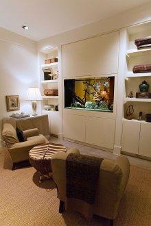 Декор за аквариум с риба