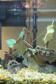 Декор за аквариум на волана