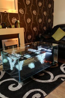 Декор за маса за аквариум