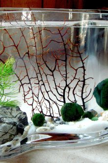 Декор за аквариум във ваза