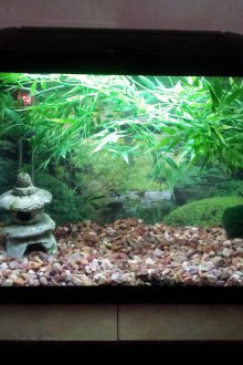 Декор за аквариум в японски стил