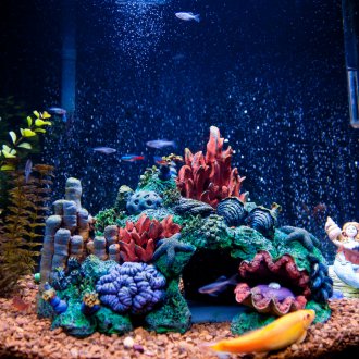 Декор за аквариум на морски звезди