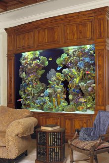 Направи си аквариум в английския стил