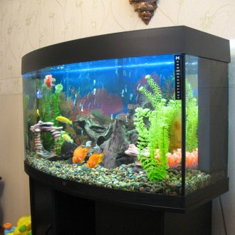 Направи си аквариум черно