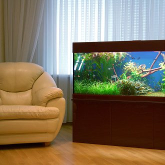 Направи си сам класически аквариум