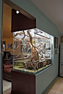 Направи си аквариум с дърво