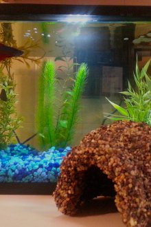 Глинен аквариум 