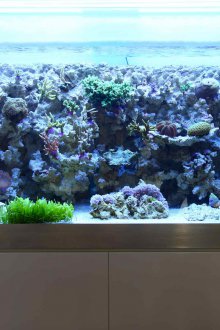 Направи си аквариум дълъг