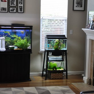 Направи си аквариум в хола
