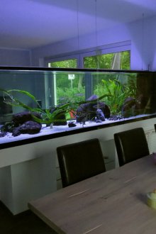 Направи си аквариум в интериора