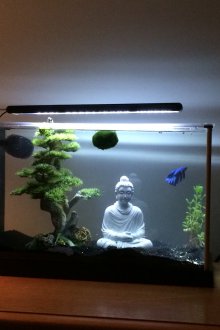 Направи си аквариум изкуствен