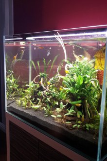 Направи си сам аквариум производство