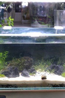 Направи си аквариум с камъни