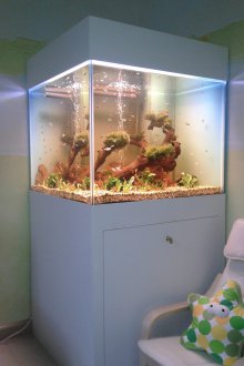 Направи си аквариум кубик