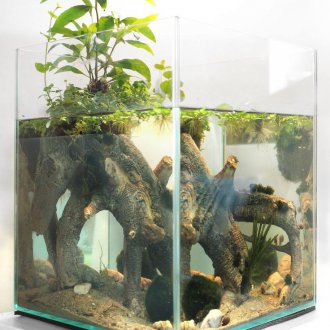 Направи си аквариум площад