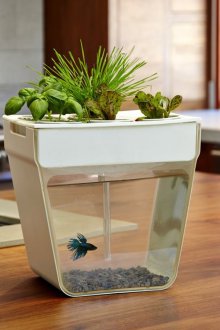 Направи си сам аквариум