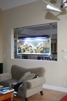 Направи си малък аквариум