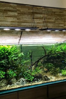 Направи си аквариум отворен