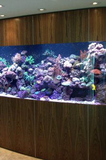 Направи си аквариум с панели