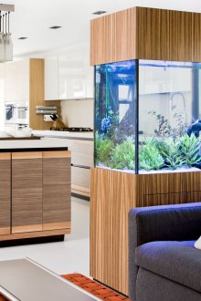 Направи си аквариум в преградата