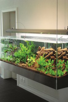 Направи си аквариум извънборд