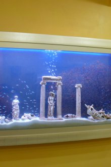 Аквариум направете сами свеж