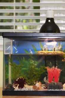 Направи си аквариум с усилватели