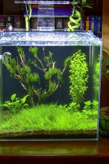 Направи си аквариум в спалнята