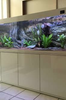 Направи си сам аквариум от стъкло